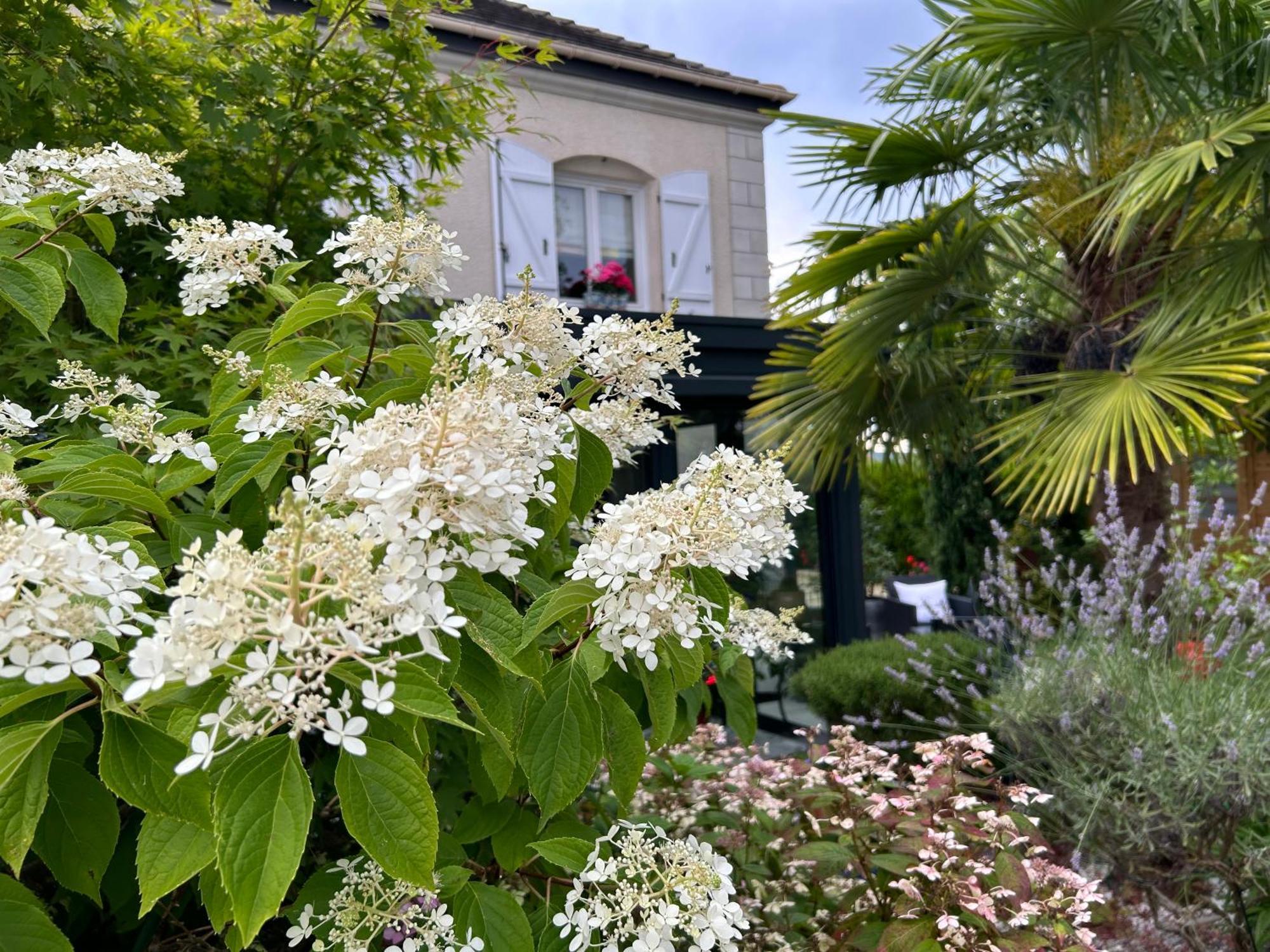 Les Suites Champenoises Tinqueux Εξωτερικό φωτογραφία